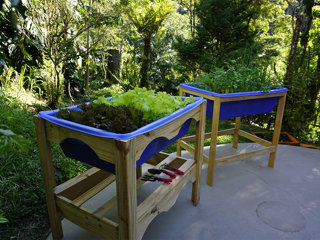 Horta Suspensa: o verde que floresce nas alturas da sua casa